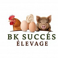 Logo BK