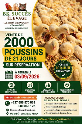 Poussiniere